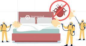 Bed Bug Pest Control Service